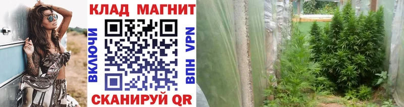 Сколько стоит Тетюши Псилоцибиновые грибы  Меф мяу мяу  Гашиш  Каннабис  Альфа ПВП 