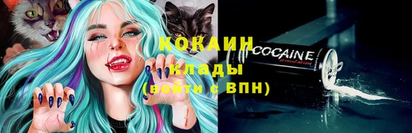 МДПВ Абаза
