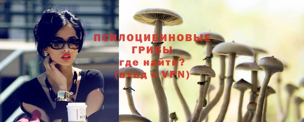 МДПВ Абаза