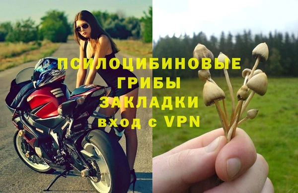 МДПВ Абаза